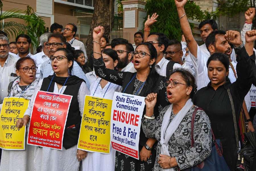 Calcutta High Court's Scathing Critique 